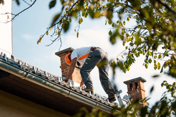 Best Roof Repair Services  in Morrisonvle, IL