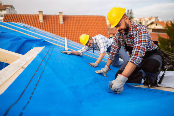 Best Storm Damage Roof Repair  in Morrisonvle, IL