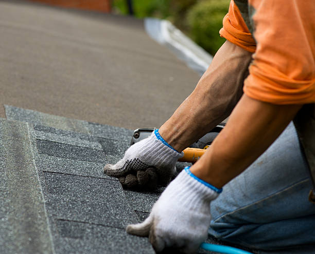 Best New Roof Installation  in Morrisonvle, IL