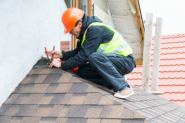 Best Roof Inspection Near Me  in Morrisonvle, IL