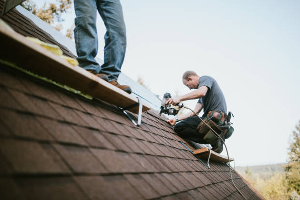 Roof Repair Estimates in Morrisonville, IL