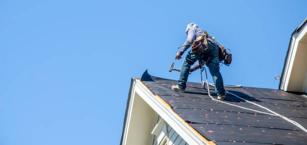 Best Gutter Installation and Roofing  in Morrisonvle, IL